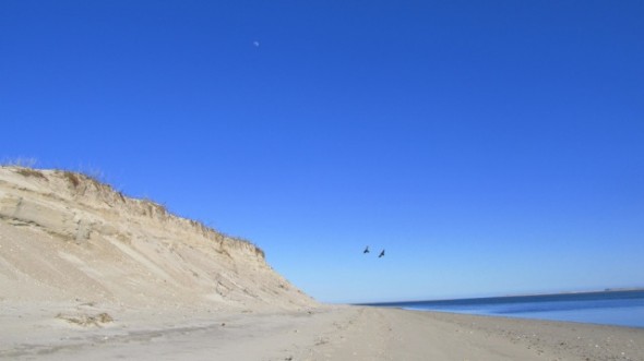 The most beautiful country in the world, the United States, presents spectacular scenes of nature in every state, like the Cape Cod shoreline on Earth Day in Chatham, Mass.