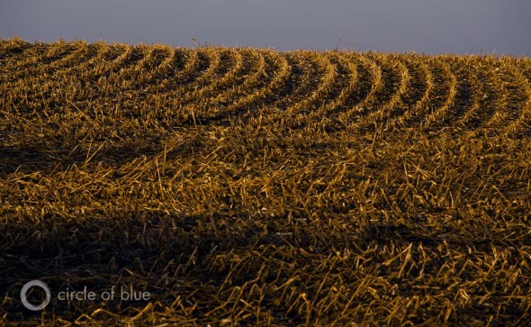 Iowa farm 2012 drought