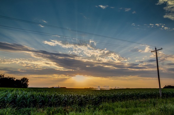 Corn United States Nebraska drought
