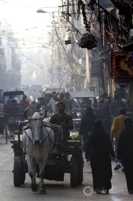 India new delhi old town city market traffic pollution illegal connection electric wire electricity water food energy circle of blue choke point wilson center j. carl ganter
