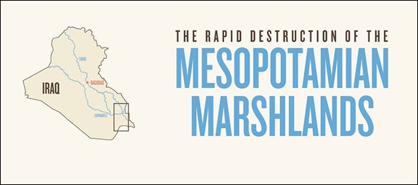 The Rapid Destruction of the Mesopotamian Marshlands