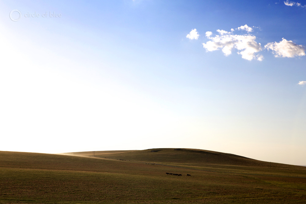 The vast grasslands of Inner Mongolia near Xilinhot.