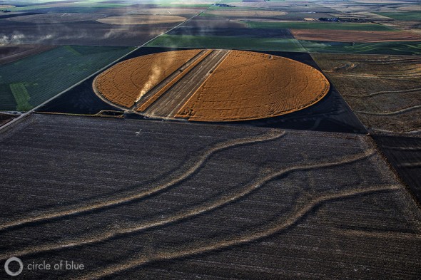 A golden circle, this one near Edson, Kansas, is the tell-tale sign of an irrigated corn field ready for harvest. Farmers in the Great Plains produce some of the highest corn yields in the world thanks in part to abundant water supplies from the Ogallala Aquifer. The aquifer, however, is draining away because more water is pumped out than filters back in.