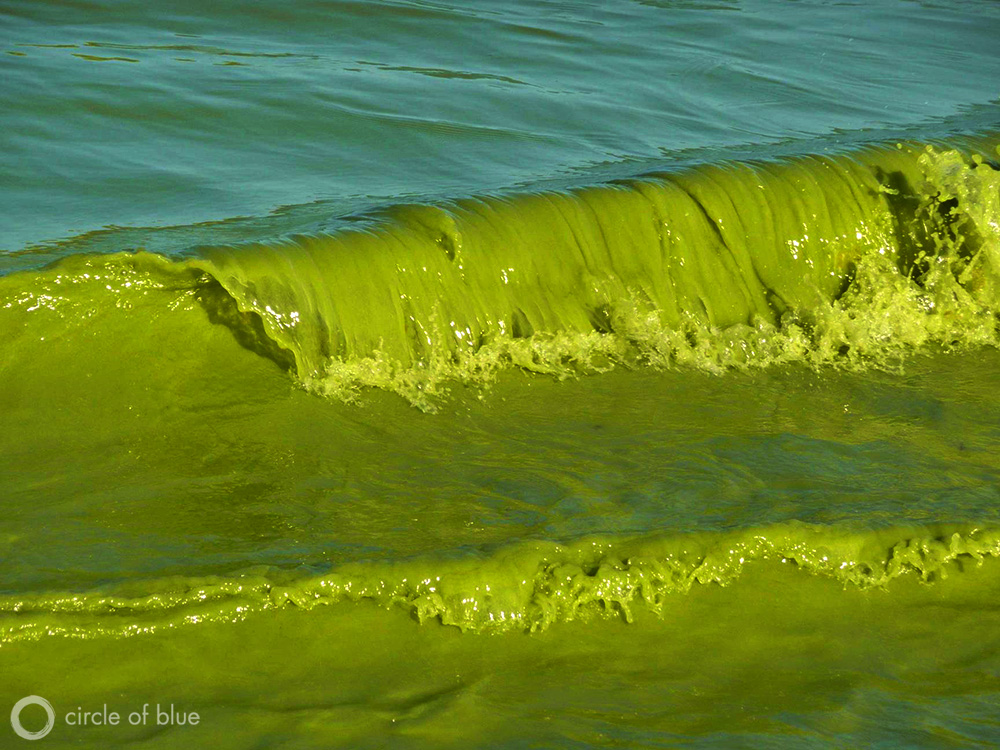 Lake Erie toxic algae bloom nutrient pollution Great Lakes phosphorus reduction targets Great Lakes Water Quality Agreement