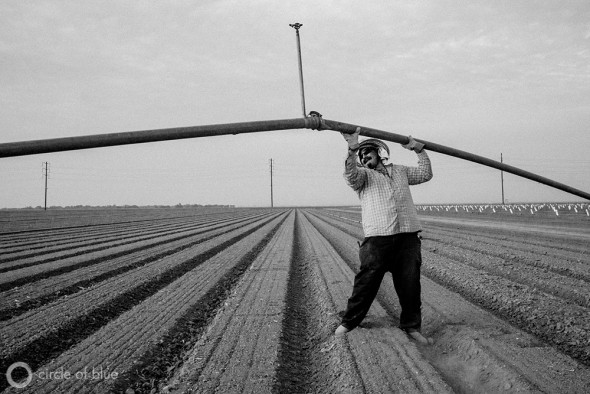 Carlos Sanchez installs irrigation sprinklers on a newly planted onion field in the Westlands Water District in California's Central Valley.