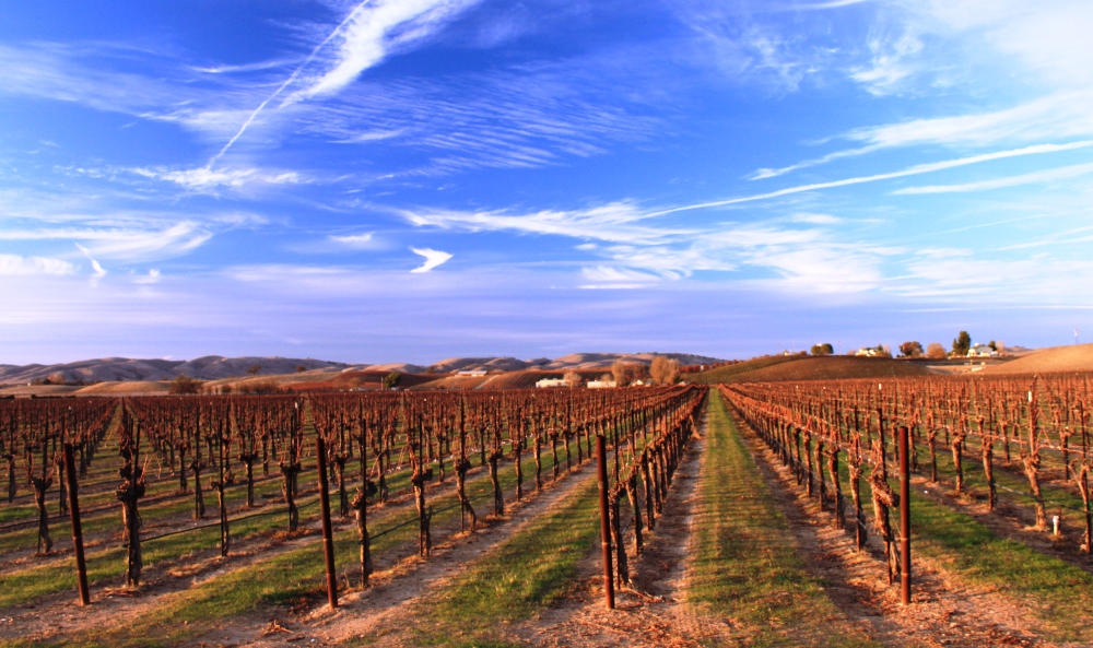 Spending to Conserve Water on California Farms Will Not Increase Supply