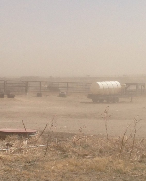 Kansas drought dust storm Wichita County Great Plains agriculture