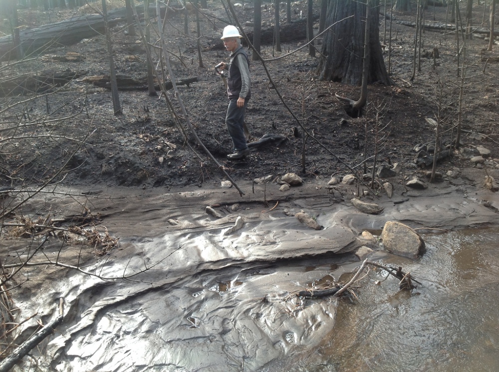 California drought Rim Fire recovery Stanislaus National Forest Yosemite National Park
