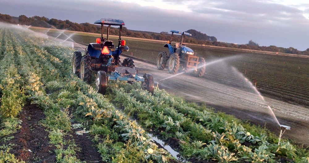 California Santa Cruz County Watsonville cauliflower irrigation farming tractor sprinkler field groundwater circle of blue