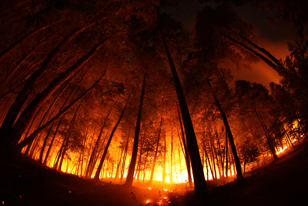 California drought wildfire prescribed burn Butler Creek Klamath Mountains