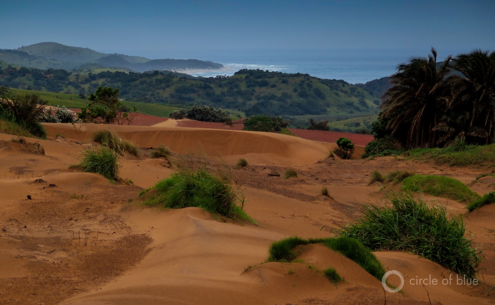Mineral Commodities Ltd., an Australian developer, proposes to take control of 2,867 hectares of Wild Coast beach and dunes (nearly 7,100 acres) to produce 425,000 metric tons of processed titanium sands annually. Photo © Keith Schneider / Circle of Blue