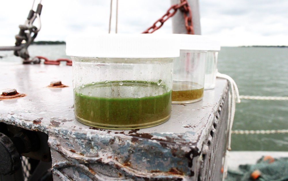 New targets set by Canada and the United States aim to cut the amount of phosphorus flowing into Lake Erie by 40 percent. Photo © Codi Kozacek / Circle of Blue.