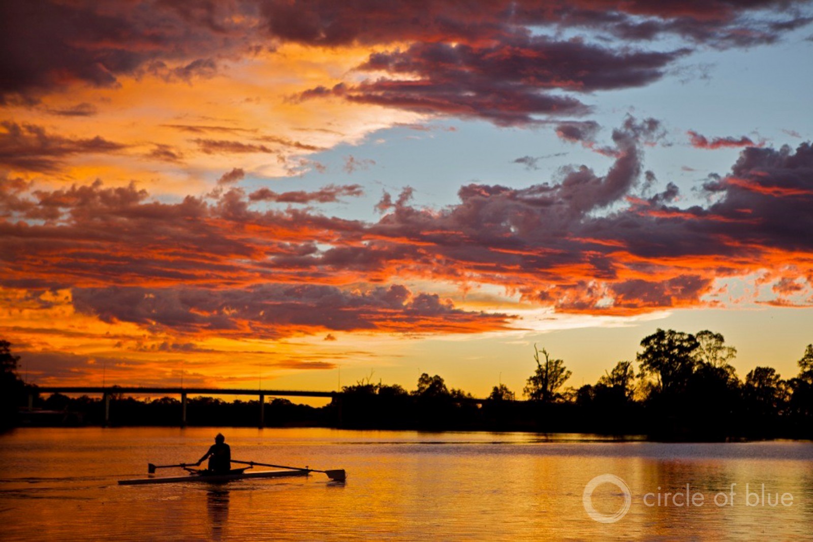 A rower in Mildura, Victoria enjoys a tranquil Murray River. Driven by heat and dry weather, a bloom of potentially toxic algae covers more than 500 kilometers of the river's water this year. Photo © J. Carl Ganter / Circle of Blue