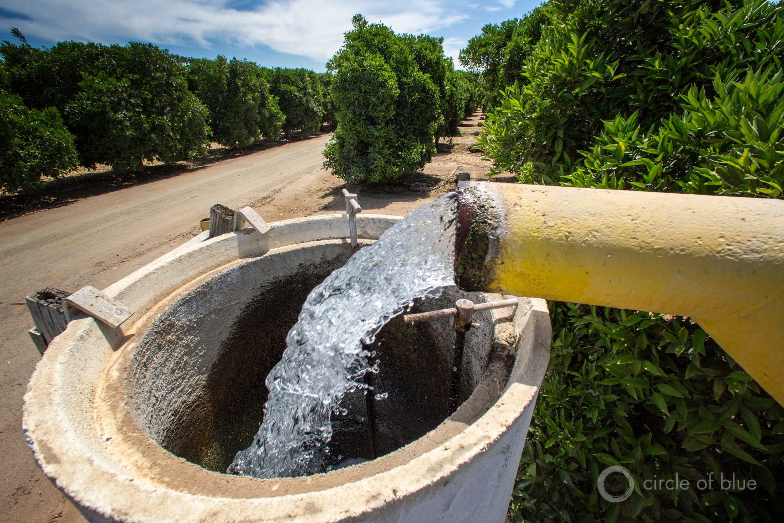 Water is pumped from a groundwater well for farm irrigation in Kern County, California.