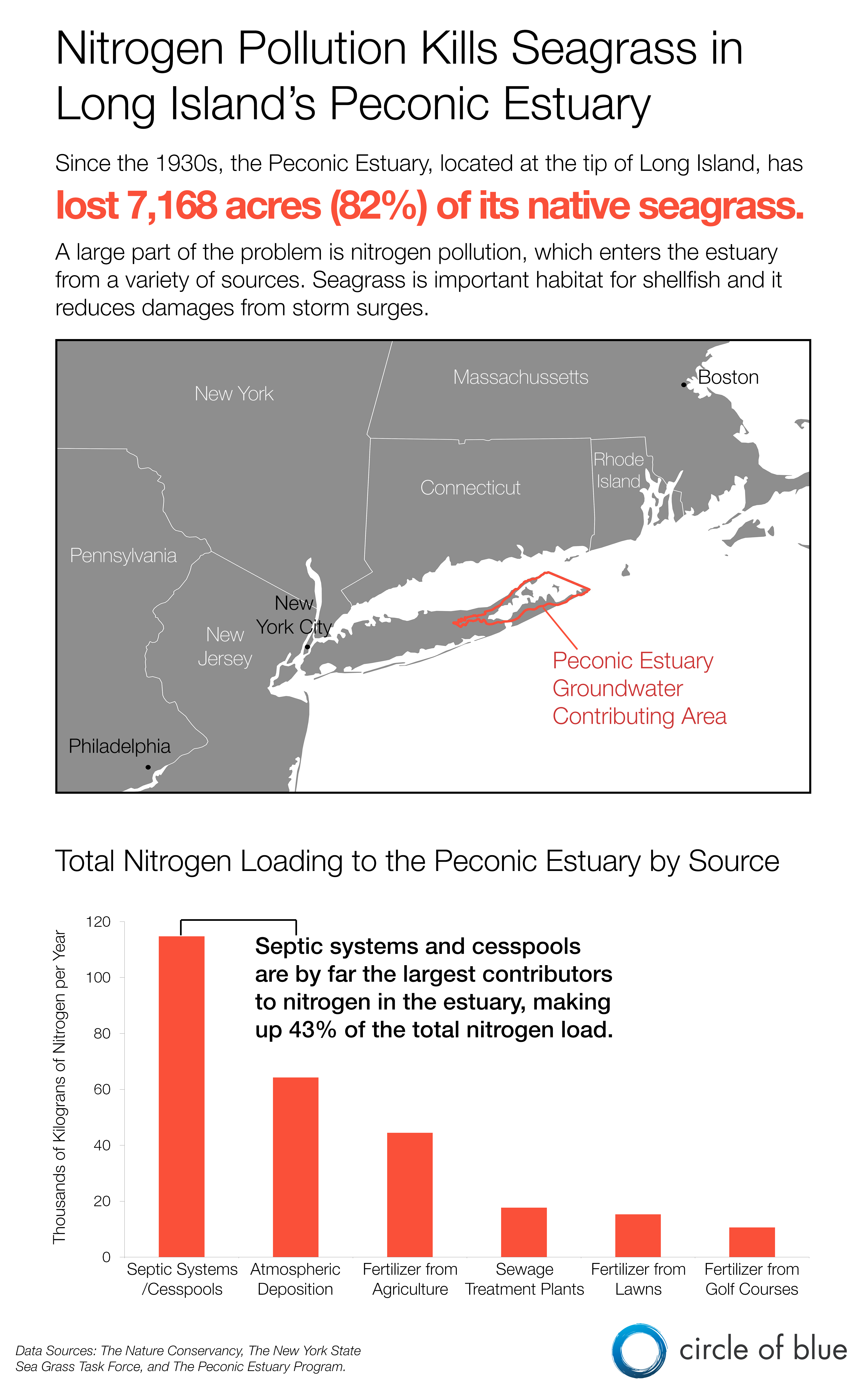 Peconic Bay Long Island seagrass toxic algae nitrogen pollution