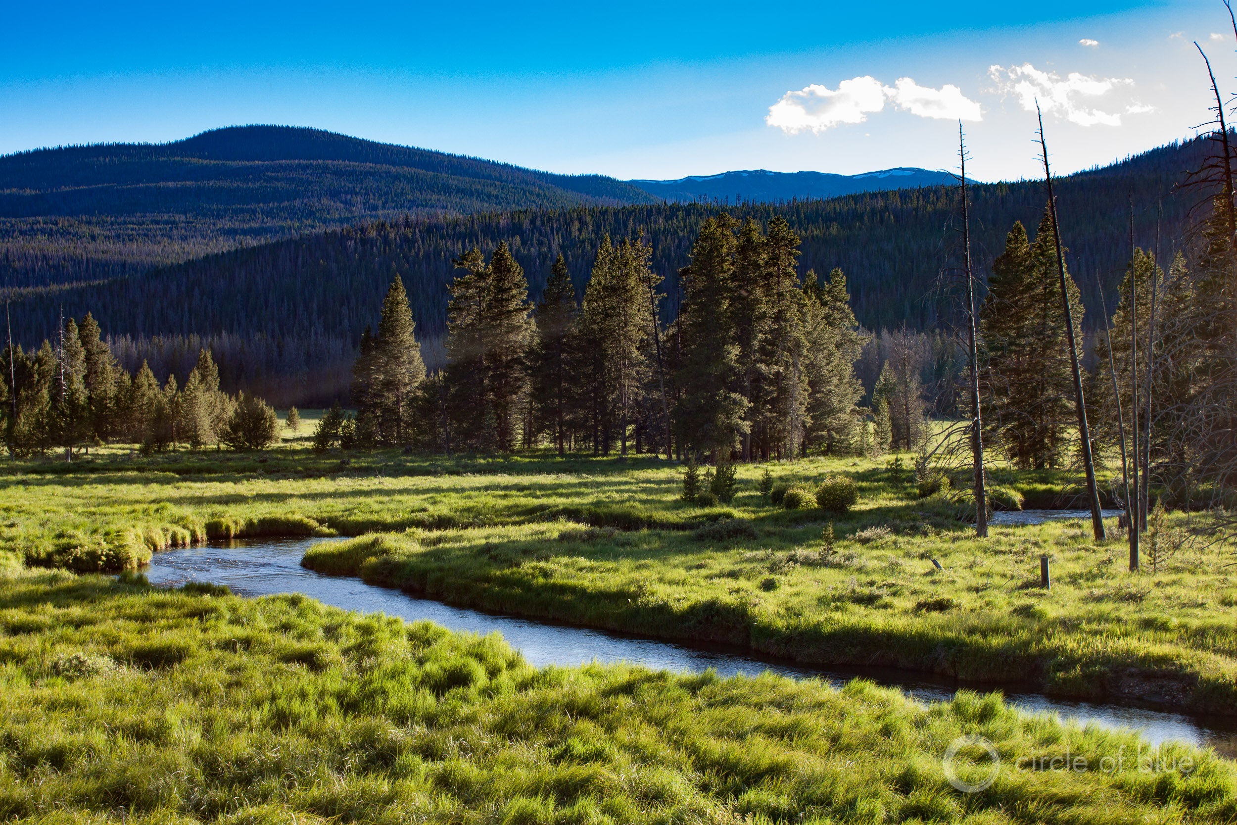 The Colorado River headwaters in Rocky Mountain National Park. Photo © Brett Walton / Circle of Blue