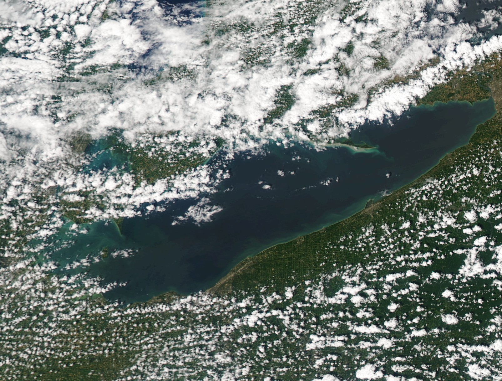 A satellite image captured on July 15, 2016 shows the beginning of an algal bloom. Forecasters predict this summer's bloom will be much smaller than the record-setting bloom last year.  Image courtesy MODIS / NOAA CoastWatch