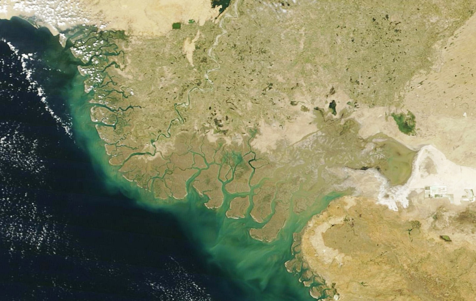 The Indus River travels 3,000 kilometers from the Himalayas before it empties into the Arabian Sea near Karachi. While groundwater reserves are rapidly declining in the upper reaches of the basin, groundwater in the lower basin is salty and largely unusable. This image of the Indus River Delta was captured in March 2016 by the Moderate Resolution Imaging Spectroradiometer (MODIS) sensor on board the Terra satellite. Photo courtesy NASA