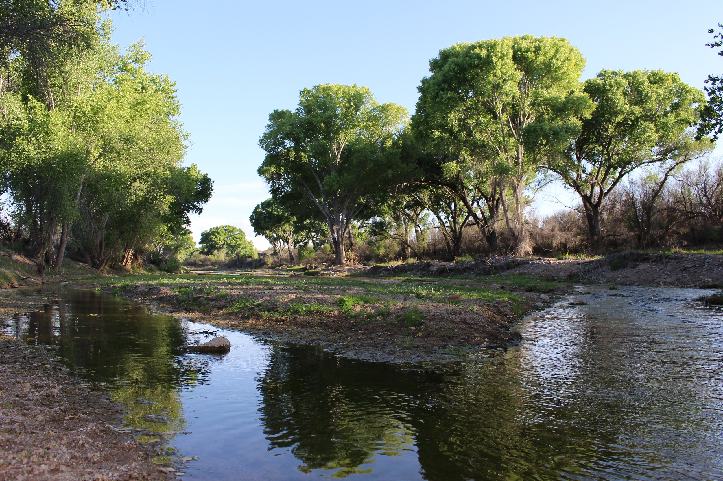 The San Pedro River is fed by groundwater flowing from the San Pedro Aquifer, which spans the U.S.-Mexican border. Through a collaborative research program, scientists are gaining a better understanding of these cross-border aquifers. Photo courtesy of the Bureau of Land Management