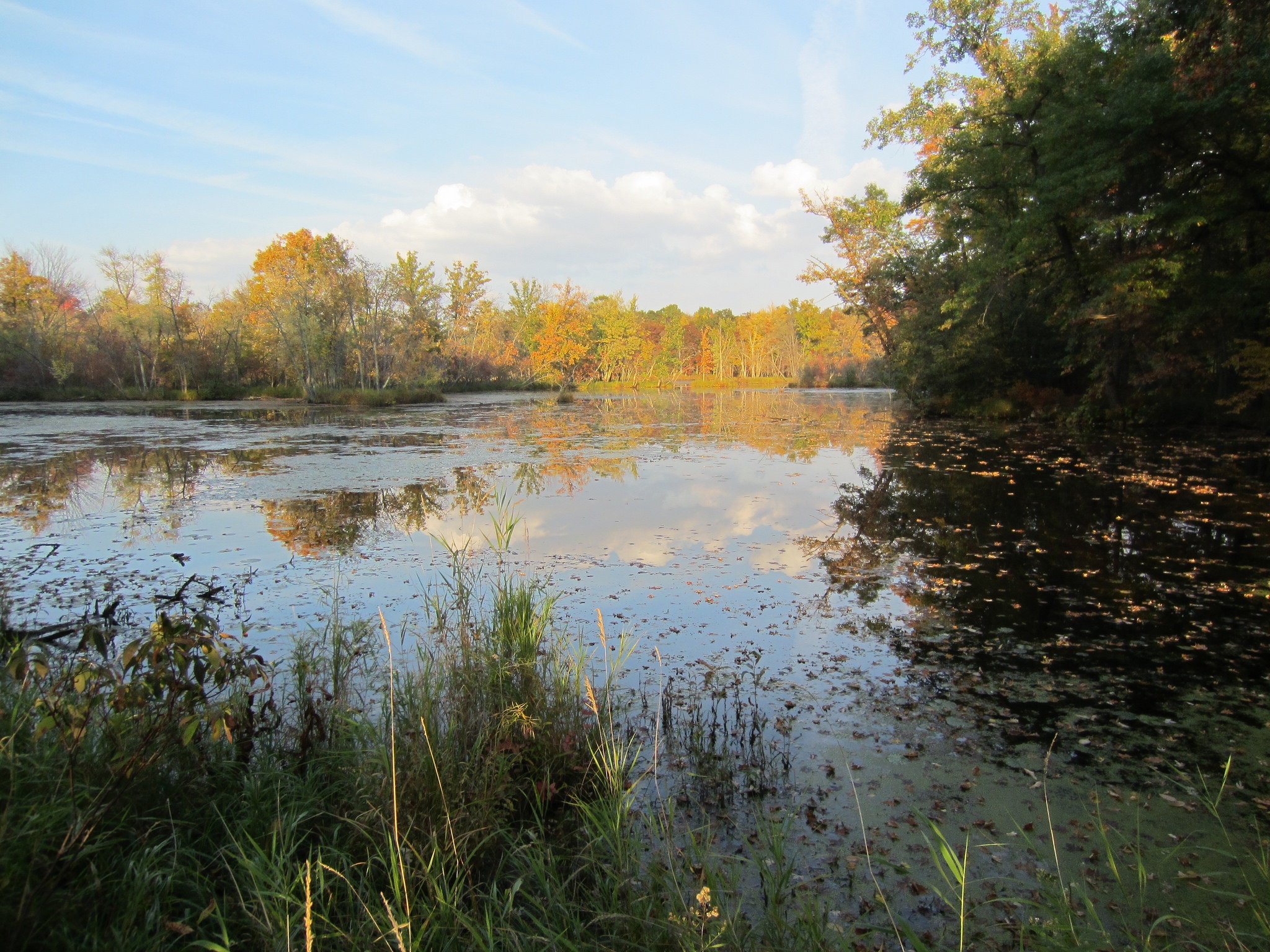 Mill Creek flows through Portage County, Wisconsin. The county is at the center of a statewide debate about high-capacity irrigation wells. Photo courtesy of Flickr/Creative Commons user jentastic