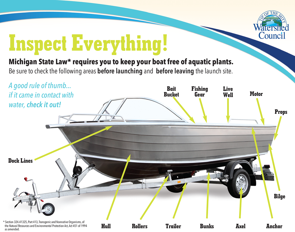 What parts of your boat to check for invasive species. Image: Watershed Council