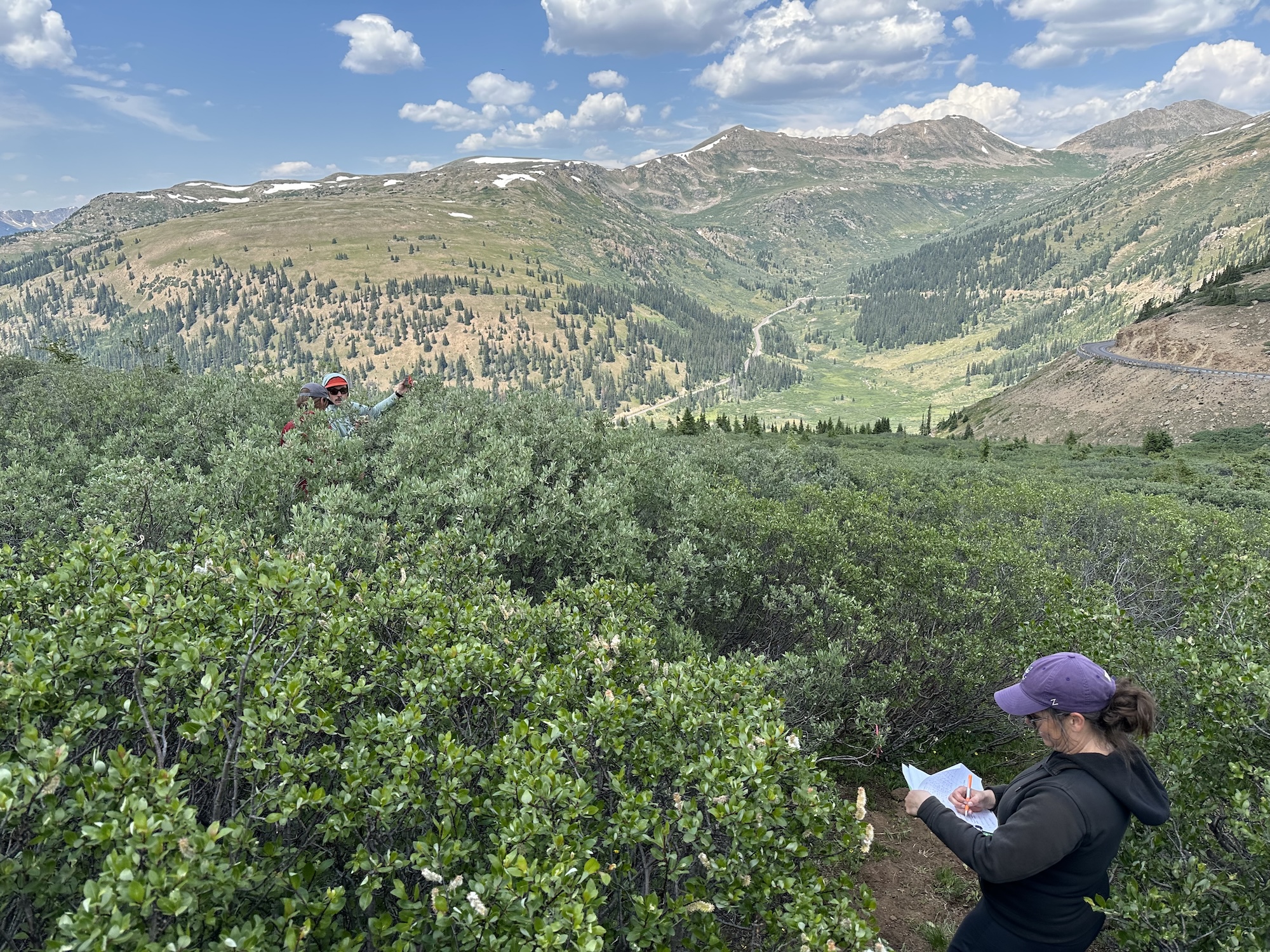 Want to predict wildfires? The key may be underground